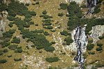 17- Mughi e cascatella
